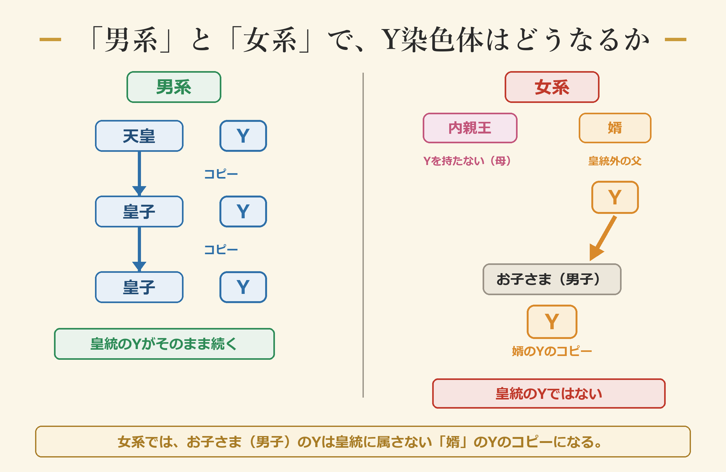 男系はYがそのまま続く/女系はお子さまのYが皇統外の父のコピーになる